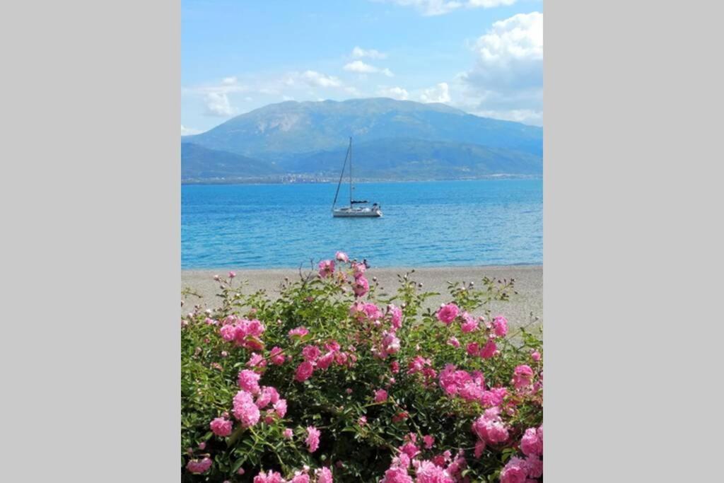 Naupactus Unique Harbor Apartment In A Stone House! Nafpaktos Dış mekan fotoğraf